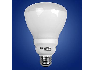 BlueMax R30 Full Spectrum CFL bulb (65w Replacement)