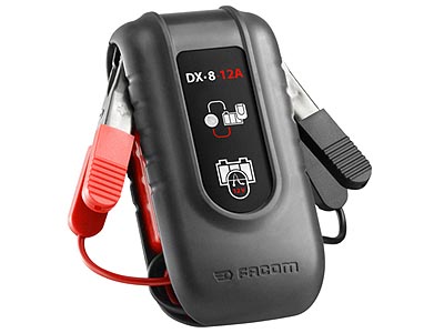 (DX.8-12A) -Surge Limiter for 12v Vehicle Systems