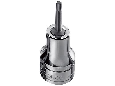 (SXM.55) -1/2" Drive Torx Bit Socket-T50 (USAG)