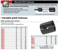 (609A.22)-Variable Pitch Holesaw (HSS/BiMetal)-22mm (Facom)