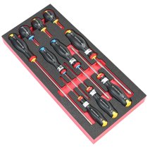 (MODM.AT5) -10pc Protwist Screwdriver Module (Phillips/Pozidriv)