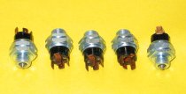 (24351201567)-Safety Switch-2002 auto trans cars (70-76)