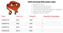 (493C-4)-Ratcheting Tie Down (Anchorage Belt w/hooks)(10m)(USAG)