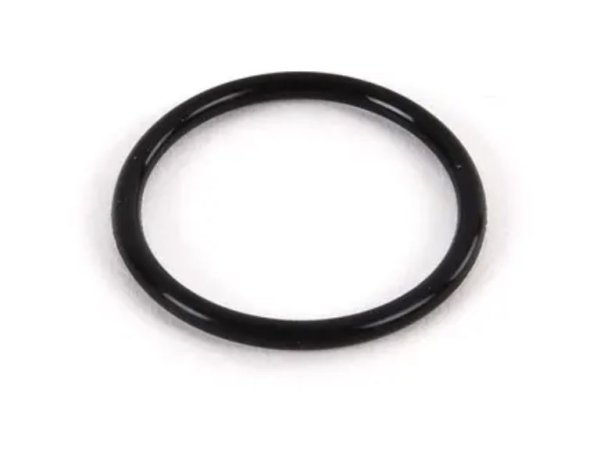(11411304178)-Water Pipe (Plenum) O-ring- M3 (88-91), M5 (91-93) (M22x2) (Genuine BMW) (9 available)