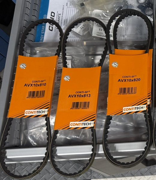 (Belt-10x810)(32 42 1 316 785)-Power Steering - 318i (84-85), M3 (88-91) (E30) (1 available)