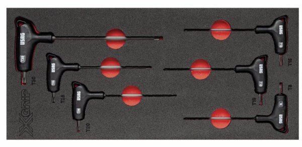 (MODM.89HXTX)-Foam Tool Module-6pc XGrip Torx Key Set (T10 to T30) (1 available at this price)